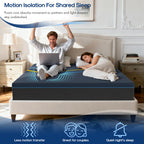 Nordhive Sea-10''12''14''Memory Foam Mattress
